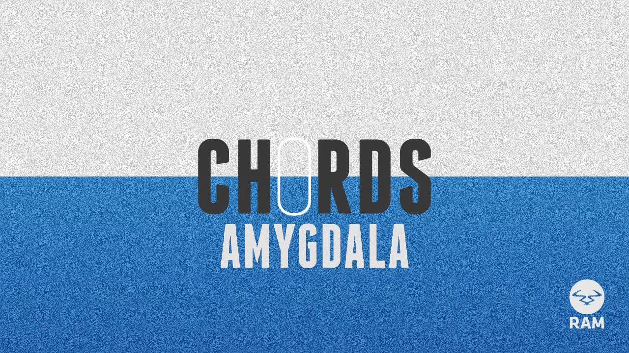 Watch Chords - Amygdala on YouTube Watch Chords - Amygdala on YouTube