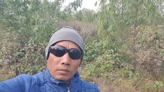 Httpswwwfacebookcomsharev1fup5aouvq