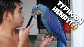 CHECKING OUT ALL OUR PETS DURING THE TYPHOON! GRABE NA SI BAGYONG HENRY! (MACAW BIRD) | Murillo Bros