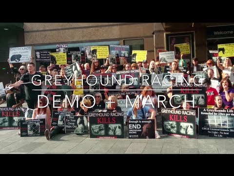 Greyhound Racing - Demo + March