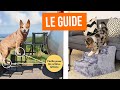 TOP 3 : Meilleur Escalier pour Chien 2022