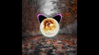 Saarattu Vandiyila - Kaatru Veliyidai