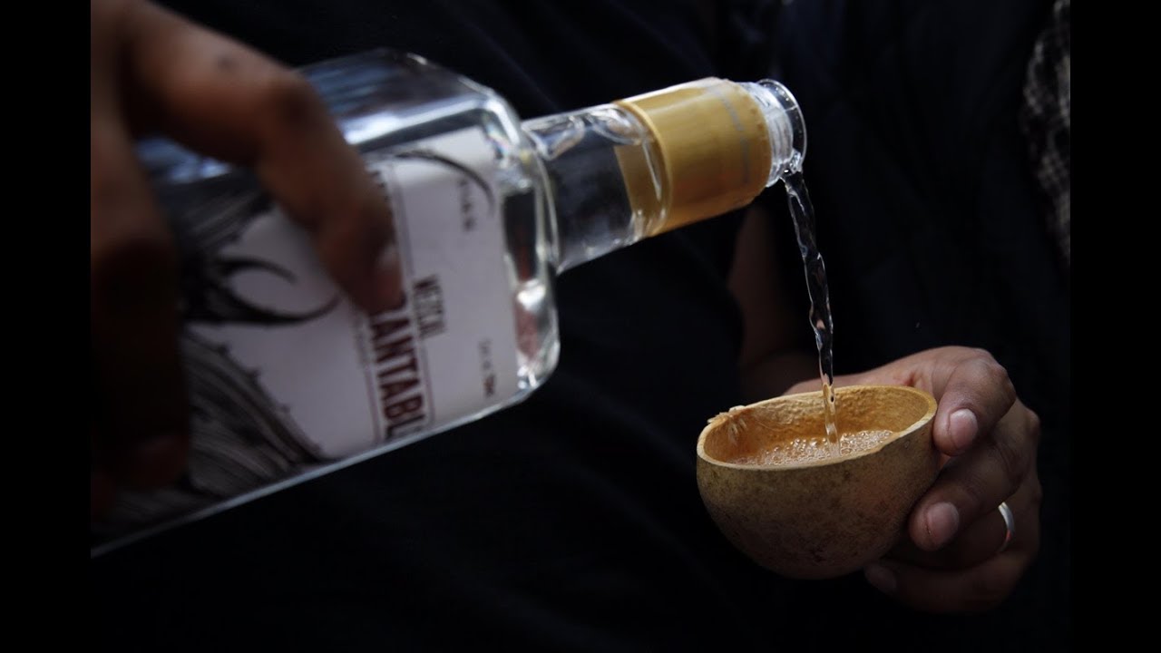 El mezcal y su denominación de origen YouTube El mezcal y su denominación de origen YouTube