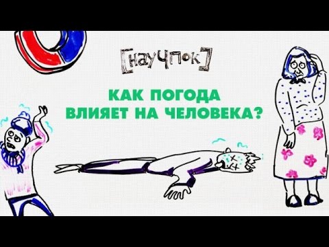 Видео: Что значит побитый дождем?