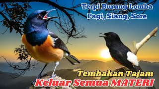 Download Lagu 🎥 \ MP3