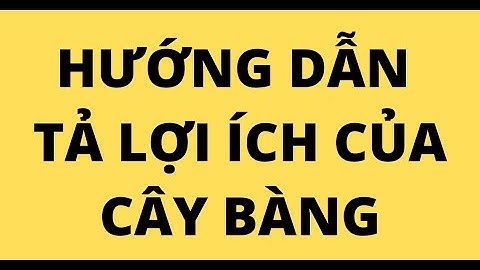 Viết đoạn văn nói về lợi ích của cây bàng năm 2024