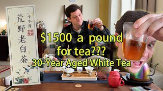 EPIC TEATIMES: This 30-YEAR AGED White Tea costs $1500 a pound!!!