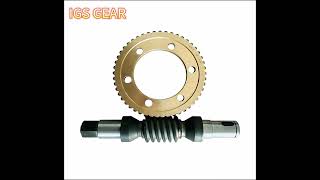 High Quality Worm Gear Set – Precision, Durability, High Reduction Ratio