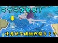 ピカブイで「れんぞくゲットボーナス」を使ってレアなポケモンたちに出会う方法！【ポケットモンスターLet's GOピカチュウ】