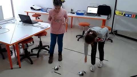 Lego Wedo 2.0 Defne ve İpek Milo-2