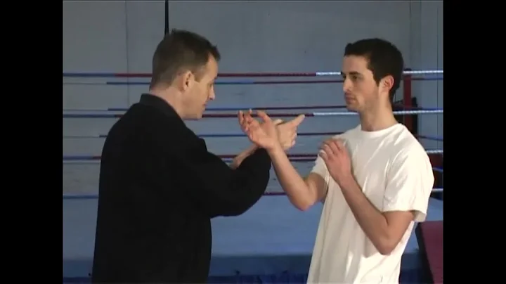 Beginning Wing Chun (Wing Chun), Kung Fu with Alan...