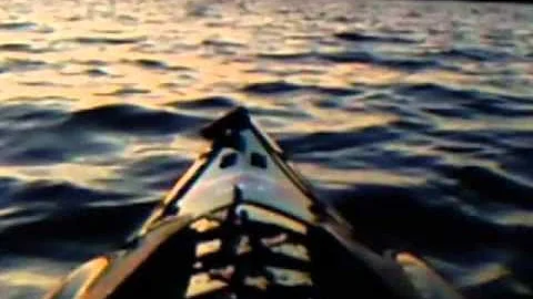 Roger Hodgson / Dont Leave Me Now / Kayaking Music...