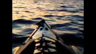 Roger Hodgson / Don`t Leave Me Now / Kayaking s