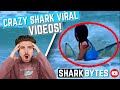 Crazy shark virals