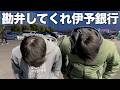 伊予銀行のこの２人が京都で暴れてしまいました。