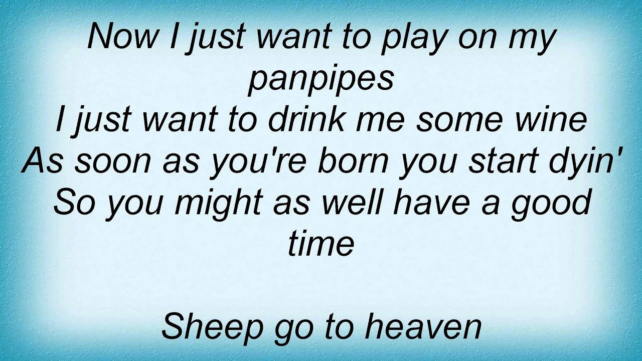 Cake Sheep Go To Heaven Lyrics YouTube
