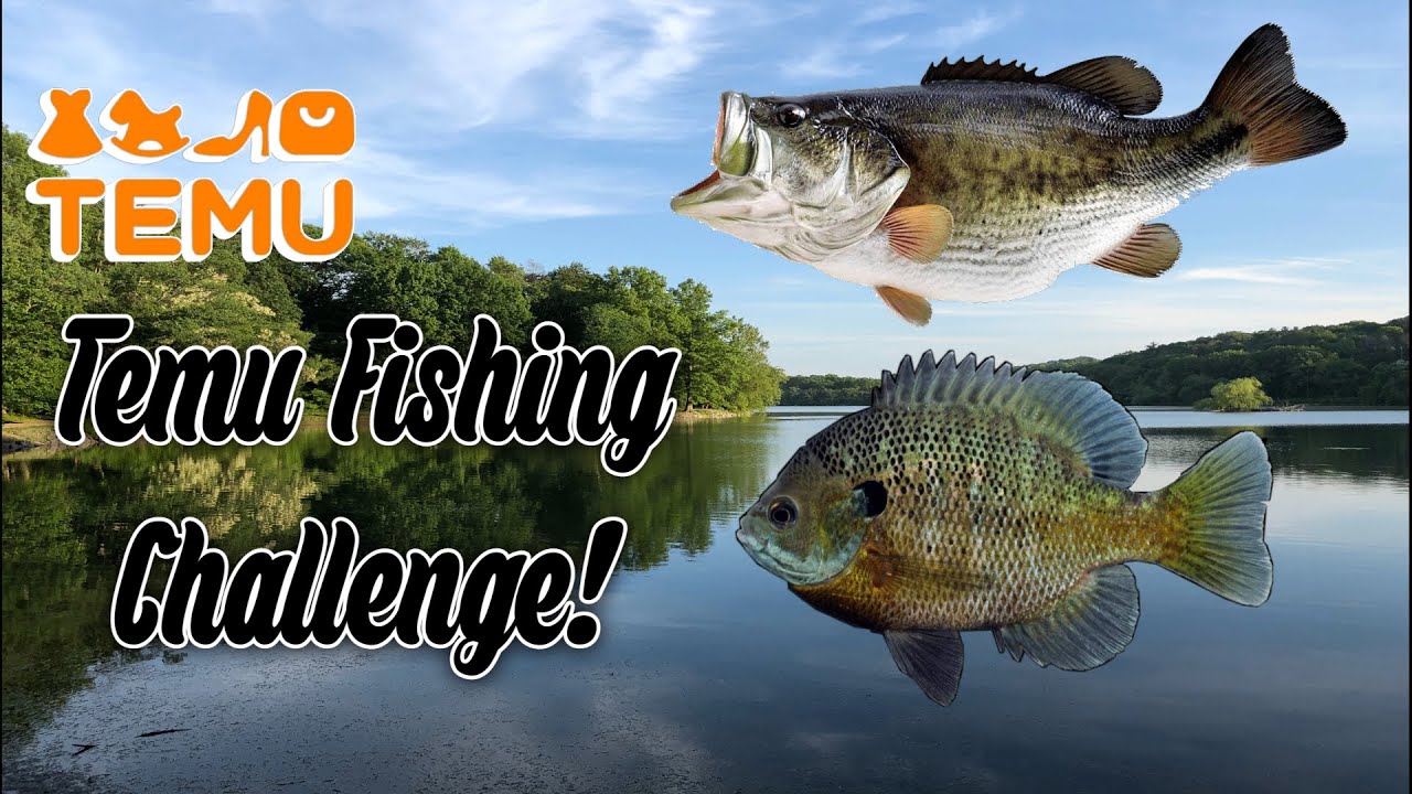 Temu Fishing Challenge!