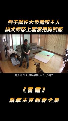 狗子獸性大發撕咬主人，訓犬師怒上套索把狗制服，沒想反遭主人背刺【結局大反轉！！】#shorts