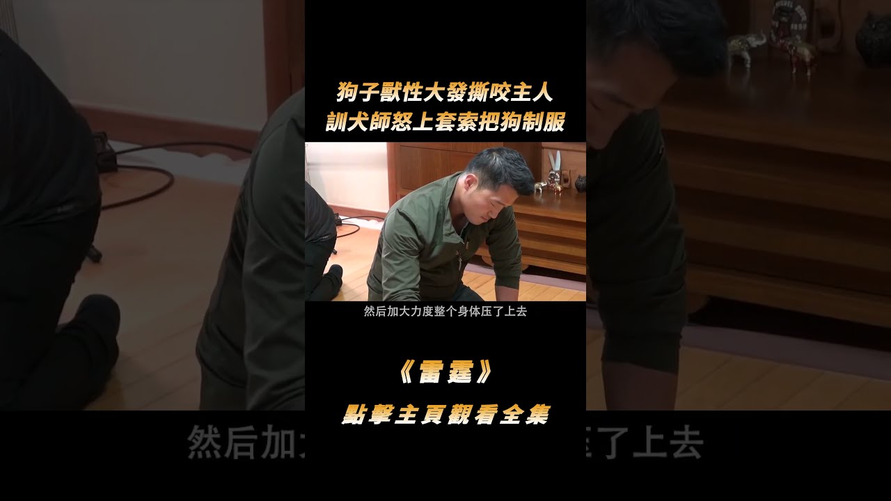 主人吃飯狗狗撒尿，被訓犬師瘋狂嘲笑：你這不是廁所嗎？