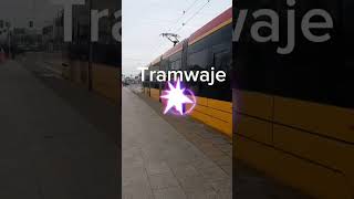 Wjazd Solarisa Urbino 18 IV Electric #5981 na Przystanek Uniwersytet