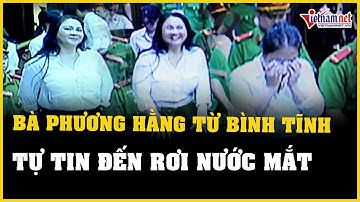 Bà Nguyễn Phương Hằng từ bình tĩnh, tự tin đến rơi nước mắt trong phiên xét xử | Báo VietNamNet