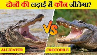 Alligator बनाम crocodile किसमे कितना है दम? | Alligator VS Crocodile Who Will Win The Fight?