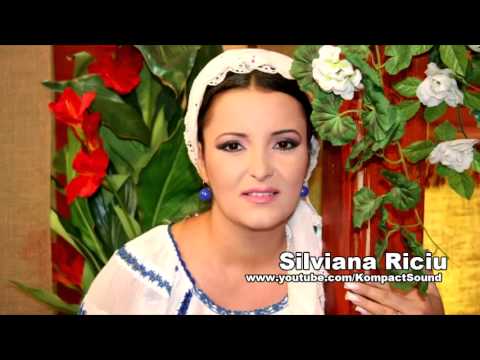 Silvana Riciu - La multi ani azi la zi mare Muzica de Petrecere (Audio Original)