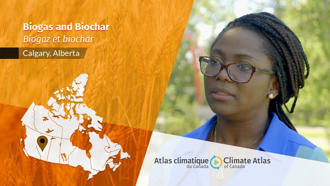 Биогаз и биоуголь