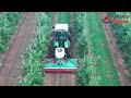 Amazing Modern Agriculture Machines- Latest Technology Machines Working !