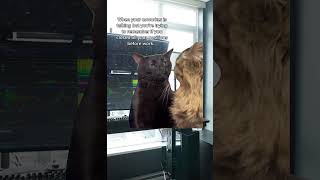 When your coworker is talking to you but you're trying to remember if you closed all your positions