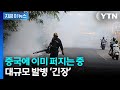 열 심각한 관절 통증 증상 WHO 세계적 유행 가능성 경고 지금이뉴스 YTN 열 심각한 관절 통증 증상 WHO 세계적 유행 가능성 경고 지금이뉴스 YTN