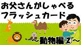 幼児教育 フラッシュカード動物編 お父さんがしゃべる いらすとや画像でかわいいスライドショー Youtube