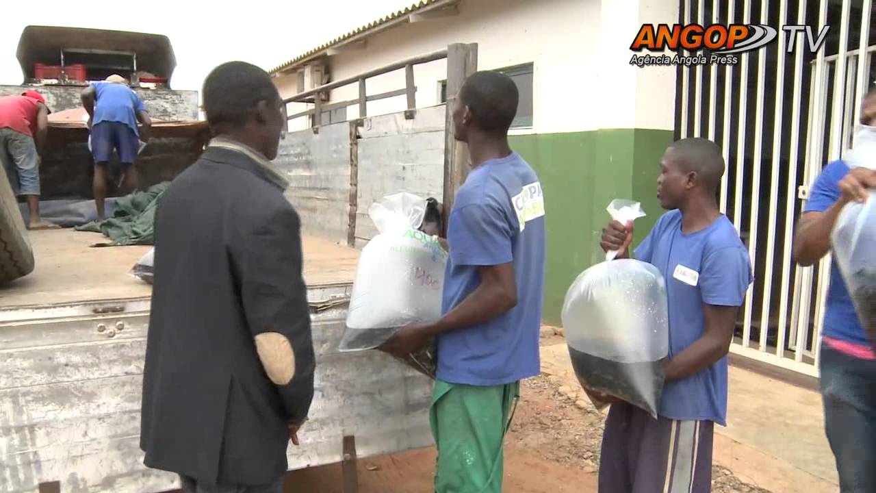 Cassaque produz dois milhões de alevinos mês