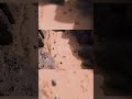 رحلة إلى طاسيلي ناجر كنز الرسومات الصخرية في قلب الصحراء طاسيلي ناجر الجزائر الصحراء الكبرى رحلة إلى طاسيلي ناجر كنز الرسومات الصخرية في قلب الصحراء طاسيلي ناجر الجزائر الصحراء الكبرى