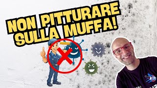 Si Può Pitturare Direttamente Sopra La Muffa? Olutamente No La Muffa Deve Essere Prima Trattata