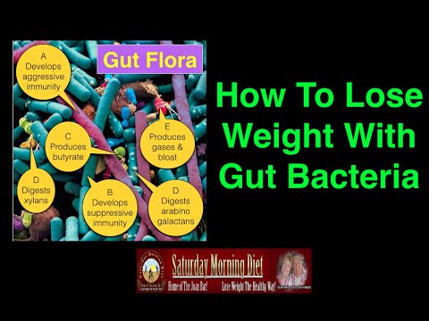 How To Lose Weight With Gut Bacteria