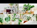 【Plant Tour】ダイニングの観葉植物紹介｜都会のマンションで植物と暮らす｜サトイモ科アロイド中心【ダイニング編】