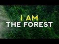 I AM the forest