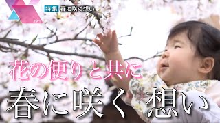 花の便りと共に　春に咲く人々の想い