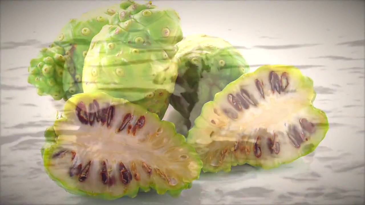 Pet Essentials: Nutritional Supplement For Cats and Dogs | Cardiovascular, Digestive, Immune Support