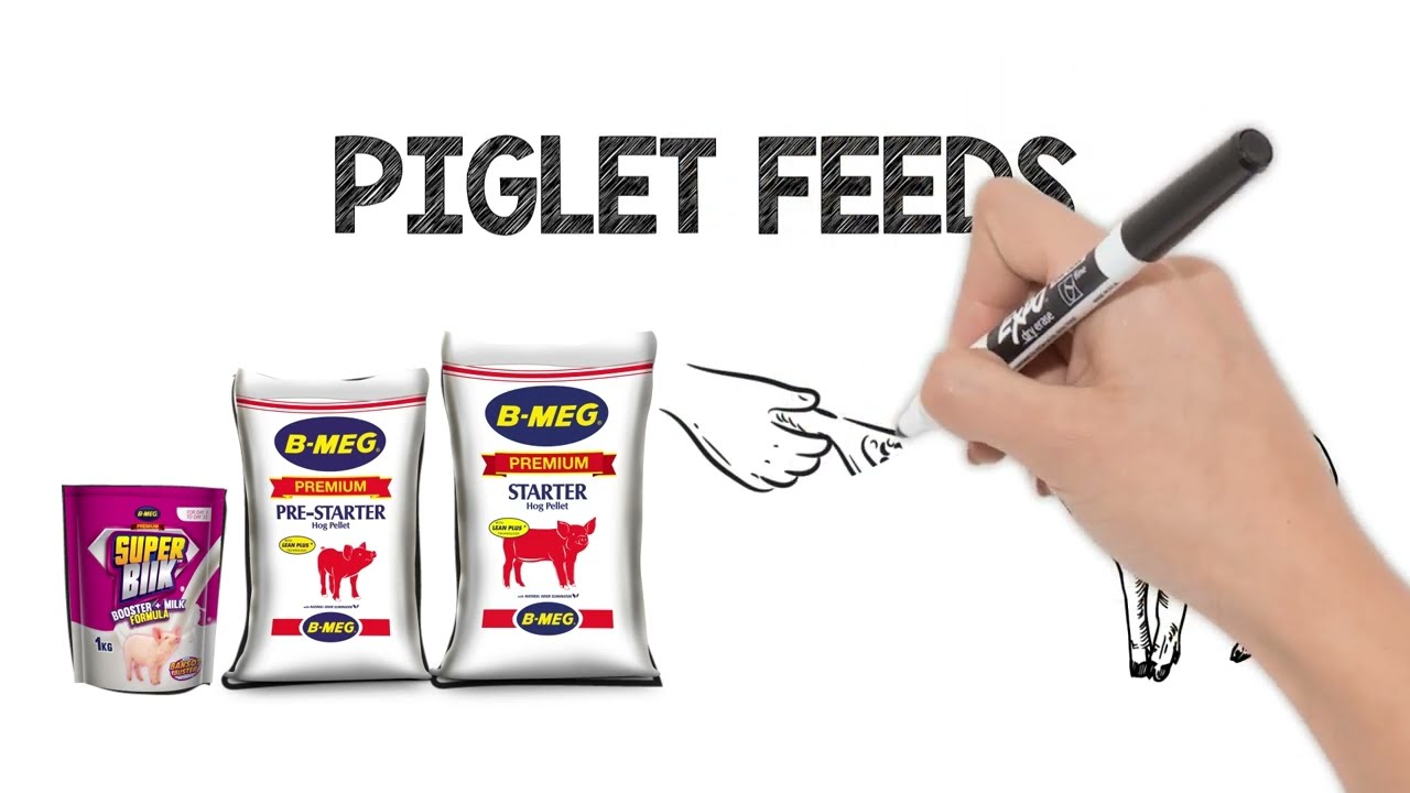 SHARE KO LANG: Piglet Feeds