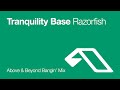 Miniature de la vidéo de la chanson Razorfish (Above And Beyond Bangin' Mix)