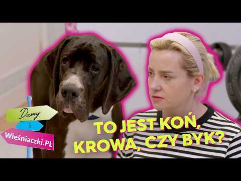 She had to lift and wash a giant dog! 🐕 | Ladies and Peasant Women