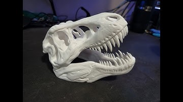 3D Printed T-Rex Skull Time-Lapse