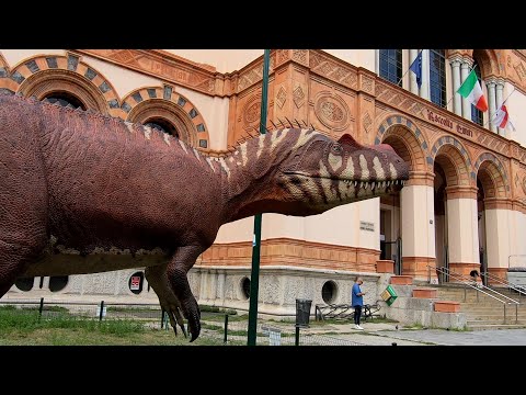 Video: Guida per i visitatori del Museo Americano di Storia Naturale (AMNH)