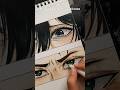 The Eyes Pt 2 Art Shorts Aot Eren Mikasa Viral Drawing