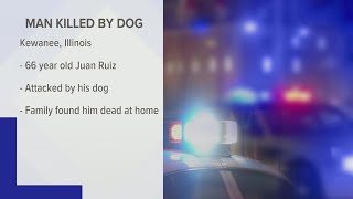 Kewanee man attacked killed trying to break up fight between dogs police say