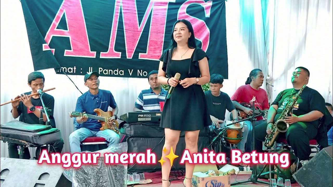 Idangdut orgen enak banget'anggur merah'anita betung-Di populerkan oleh Muchsin Alatas