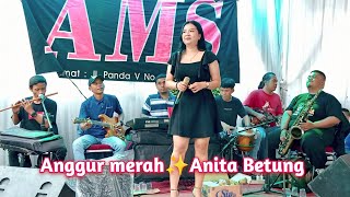 Idangdut orgen enak banget'anggur merah'anita betung-Di populerkan oleh Muchsin Alatas