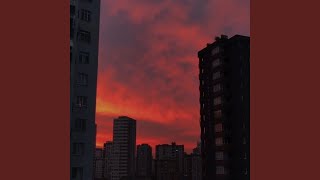 картинка: Настоящие